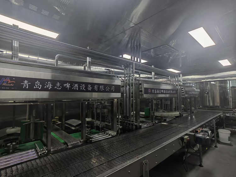 Bengbu Snowflake Production Line Project